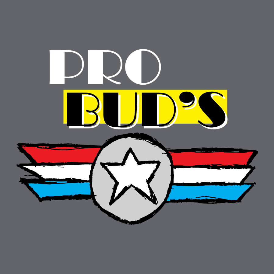 Pro Bud's Tire Changing Paste